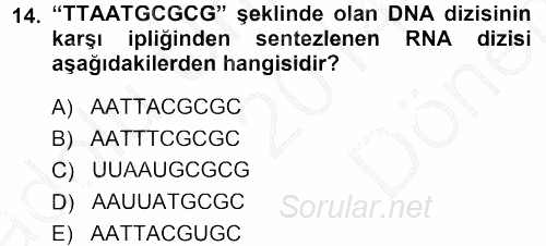Temel Veteriner Genetik 2014 - 2015 Dönem Sonu Sınavı 14.Soru