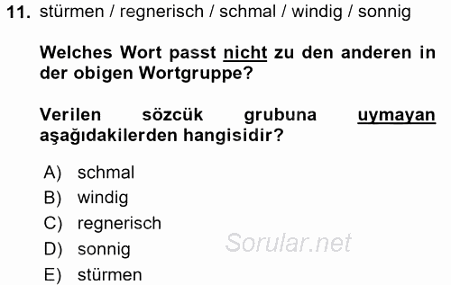 Almanca 2 2015 - 2016 Dönem Sonu Sınavı 11.Soru