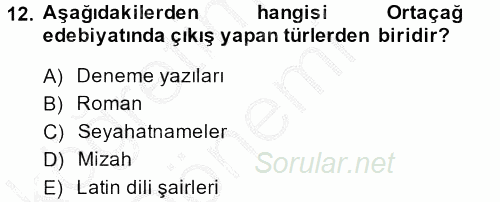 Kültür Tarihi 2013 - 2014 Ara Sınavı 12.Soru