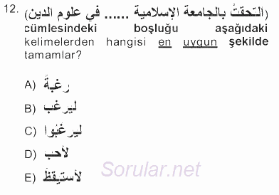 Arapça 3 2012 - 2013 Tek Ders Sınavı 12.Soru