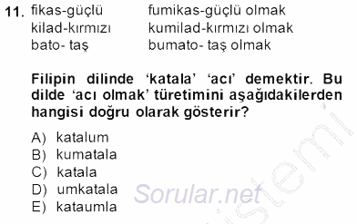 Genel Dilbilim 1 2014 - 2015 Ara Sınavı 11.Soru