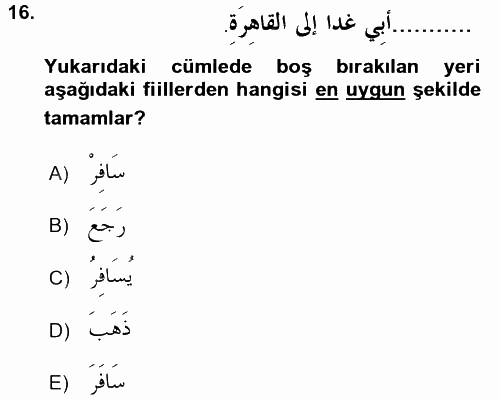Arapça 1 2015 - 2016 Tek Ders Sınavı 16.Soru