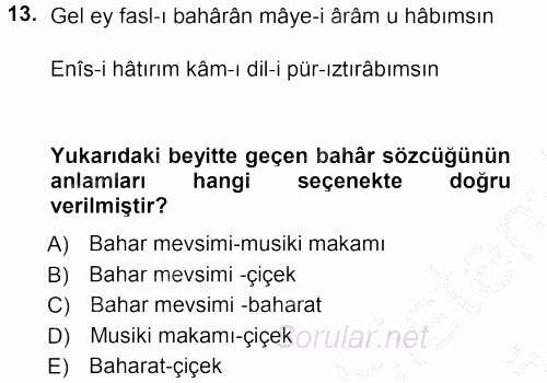 XVIII. Yüzyıl Türk Edebiyatı 2012 - 2013 Ara Sınavı 13.Soru