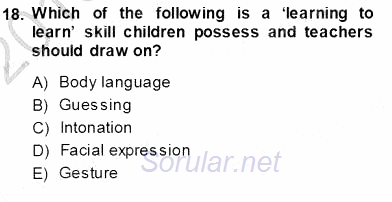 Çocuklara Yabancı Dil Öğretimi 1 2013 - 2014 Ara Sınavı 18.Soru