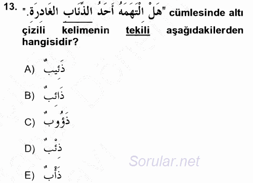 Arapça 2 2016 - 2017 Ara Sınavı 13.Soru