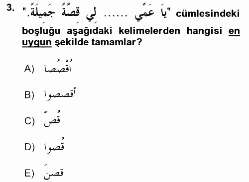 Arapça 2 2016 - 2017 Ara Sınavı 3.Soru