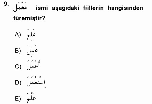 Arapça 2 2016 - 2017 Ara Sınavı 9.Soru