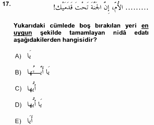 Arapça 4 2016 - 2017 Dönem Sonu Sınavı 17.Soru