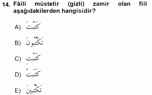Arapça 2 2015 - 2016 Ara Sınavı 14.Soru