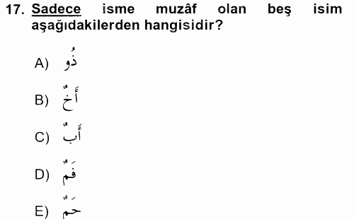 Arapça 2 2015 - 2016 Ara Sınavı 17.Soru