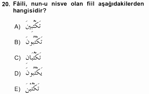 Arapça 2 2015 - 2016 Ara Sınavı 20.Soru