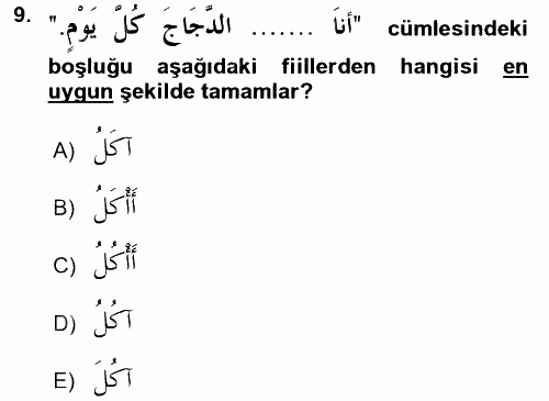 Arapça 2 2015 - 2016 Ara Sınavı 9.Soru