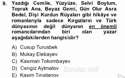 Çağdaş Türk Edebiyatları 2 2013 - 2014 Dönem Sonu Sınavı 9.Soru