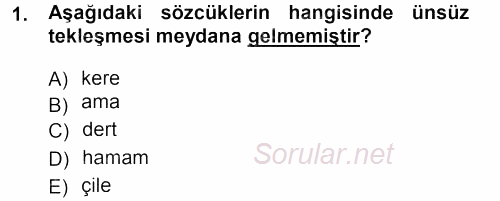 Türkçe Ses Bilgisi 2012 - 2013 Dönem Sonu Sınavı 1.Soru