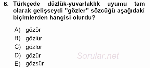 Türkçe Ses Bilgisi 2017 - 2018 Dönem Sonu Sınavı 6.Soru