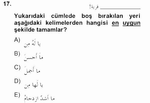 Arapça 4 2012 - 2013 Dönem Sonu Sınavı 17.Soru