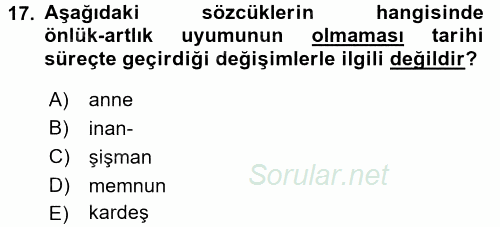 Türkçe Ses Bilgisi 2016 - 2017 Ara Sınavı 17.Soru