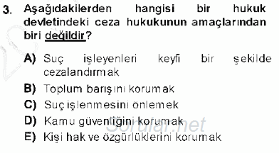 Ceza Hukukuna Giriş 2013 - 2014 Ara Sınavı 3.Soru