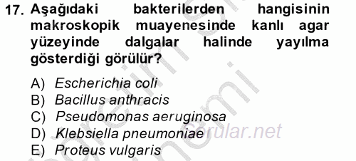 Temel Veteriner Mikrobiyoloji ve İmmünoloji 2014 - 2015 Ara Sınavı 17.Soru