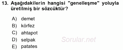 Türk Dili 1 2017 - 2018 Ara Sınavı 13.Soru