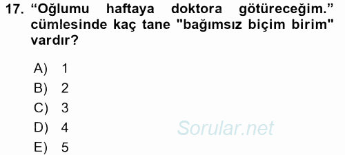 Türk Dili 1 2017 - 2018 Ara Sınavı 17.Soru