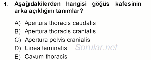 Temel Veteriner Anatomi 2013 - 2014 Ara Sınavı 1.Soru