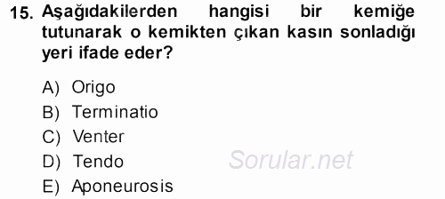Temel Veteriner Anatomi 2013 - 2014 Ara Sınavı 15.Soru