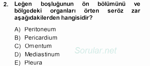 Temel Veteriner Anatomi 2013 - 2014 Ara Sınavı 2.Soru