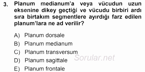 Temel Veteriner Anatomi 2013 - 2014 Ara Sınavı 3.Soru