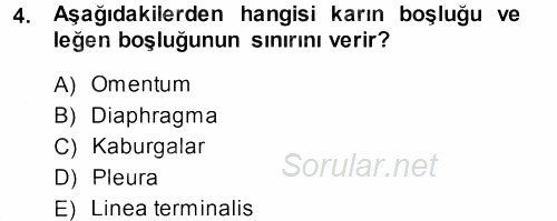 Temel Veteriner Anatomi 2013 - 2014 Ara Sınavı 4.Soru