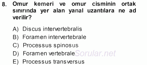 Temel Veteriner Anatomi 2013 - 2014 Ara Sınavı 8.Soru