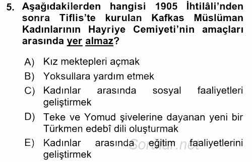 XIX. Yüzyıl Türk Dünyası 2017 - 2018 Dönem Sonu Sınavı 5.Soru
