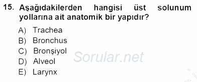 Tıbbi Terminoloji 2013 - 2014 Ara Sınavı 15.Soru
