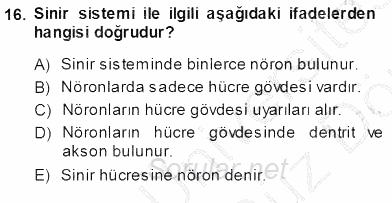 Tıbbi Terminoloji 2013 - 2014 Ara Sınavı 16.Soru