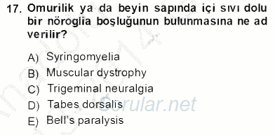 Tıbbi Terminoloji 2013 - 2014 Ara Sınavı 17.Soru