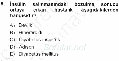 Tıbbi Terminoloji 2013 - 2014 Ara Sınavı 9.Soru