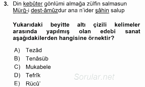 Eski Türk Edebiyatına Giriş: Söz Sanatları 2015 - 2016 Ara Sınavı 3.Soru