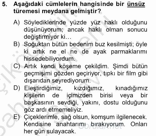 Türk Dili 2 2012 - 2013 Dönem Sonu Sınavı 5.Soru
