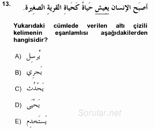 Arapça 4 2016 - 2017 3 Ders Sınavı 13.Soru