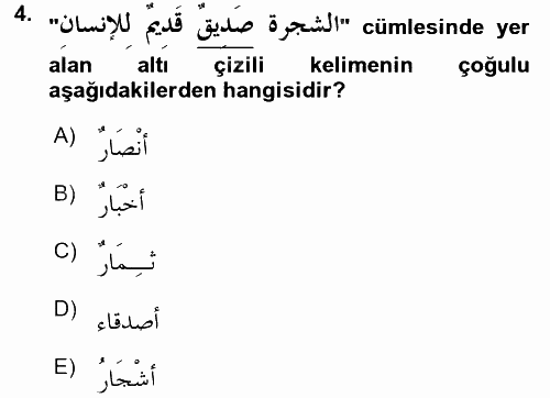Arapça 1 2016 - 2017 3 Ders Sınavı 4.Soru