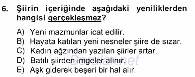 XIX. Yüzyıl Türk Edebiyatı 2012 - 2013 Ara Sınavı 6.Soru