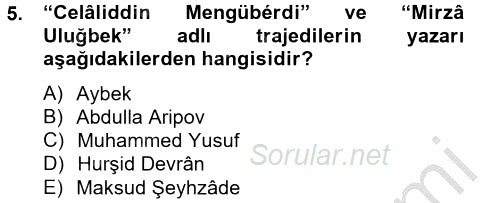 Çağdaş Türk Edebiyatları 2 2012 - 2013 Dönem Sonu Sınavı 5.Soru