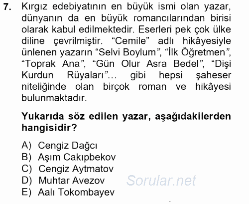 Çağdaş Türk Edebiyatları 2 2012 - 2013 Dönem Sonu Sınavı 7.Soru