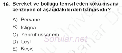 Türk Edebiyatının Mitolojik Kaynakları 2013 - 2014 Dönem Sonu Sınavı 16.Soru
