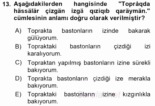 Çağdaş Türk Yazı Dilleri 1 2015 - 2016 Tek Ders Sınavı 13.Soru