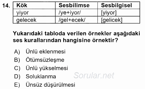 Genel Dilbilim 1 2017 - 2018 Ara Sınavı 14.Soru