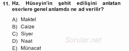 XVI. Yüzyıl Türk Edebiyatı 2013 - 2014 Ara Sınavı 11.Soru