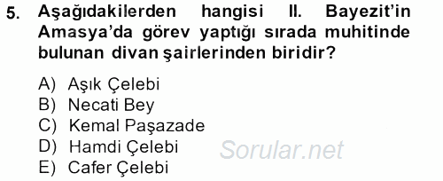 XVI. Yüzyıl Türk Edebiyatı 2013 - 2014 Ara Sınavı 5.Soru