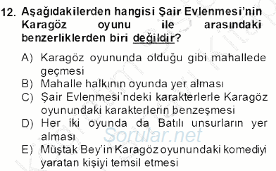 Tanzimat Dönemi Türk Edebiyatı 2 2013 - 2014 Dönem Sonu Sınavı 12.Soru