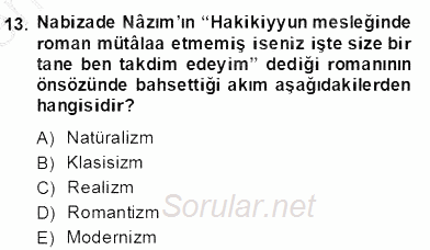 Tanzimat Dönemi Türk Edebiyatı 2 2013 - 2014 Dönem Sonu Sınavı 13.Soru